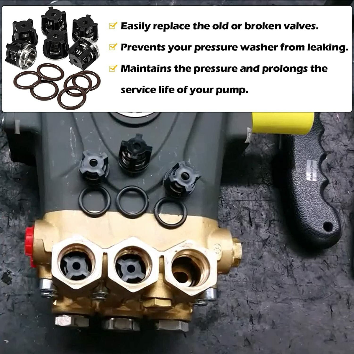 AR1828 Pump Check Valves Kit for Annovi Reverberi 18mm XR RK RKA RKV 70-0179
