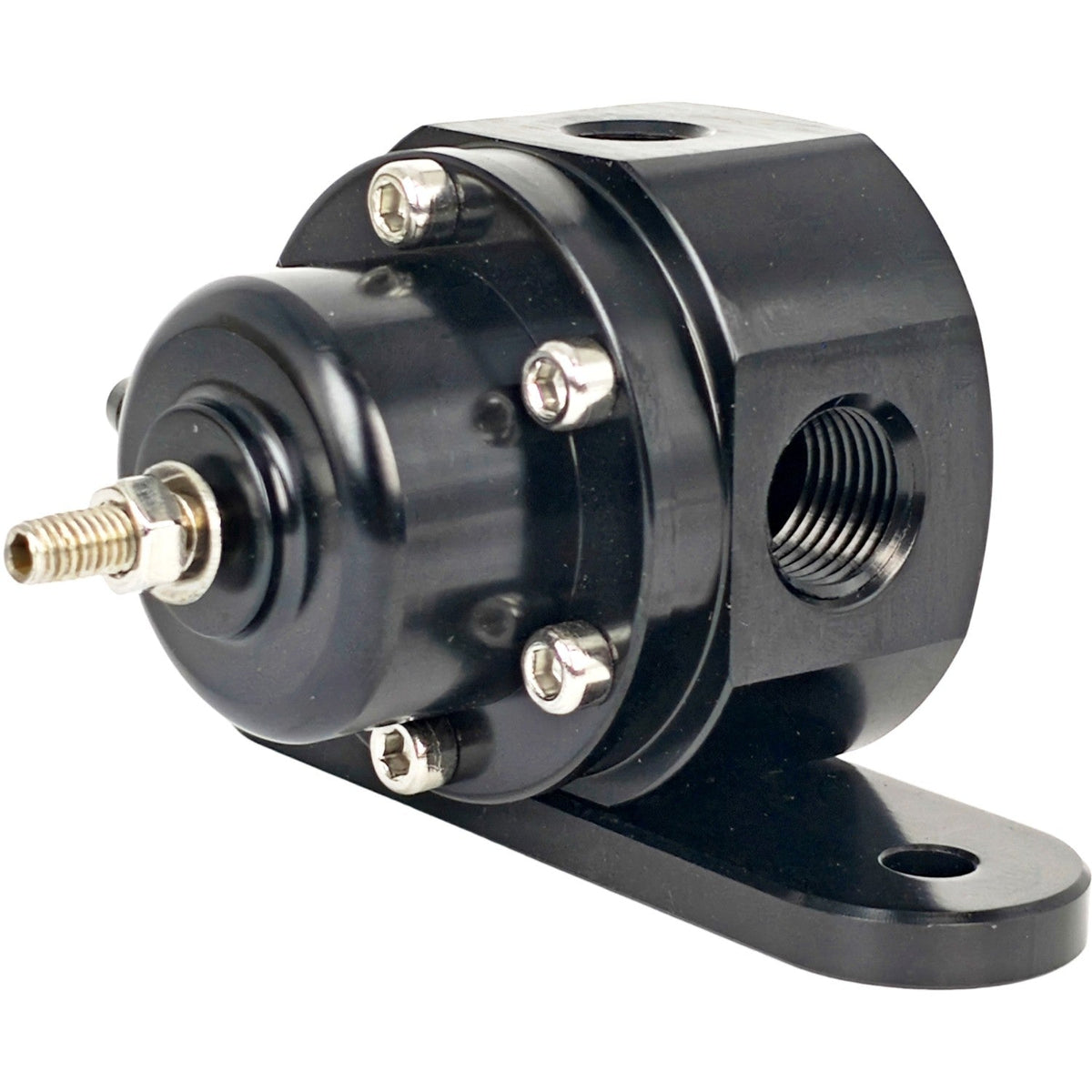 25-302BK High Volume Adjustable Fuel Pressure Regulator Kit for Holley 25302BK