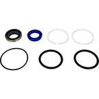 Steering Seal Kit Compat/w CIH AG & NH AG Only Some Model Replace SBA344960442