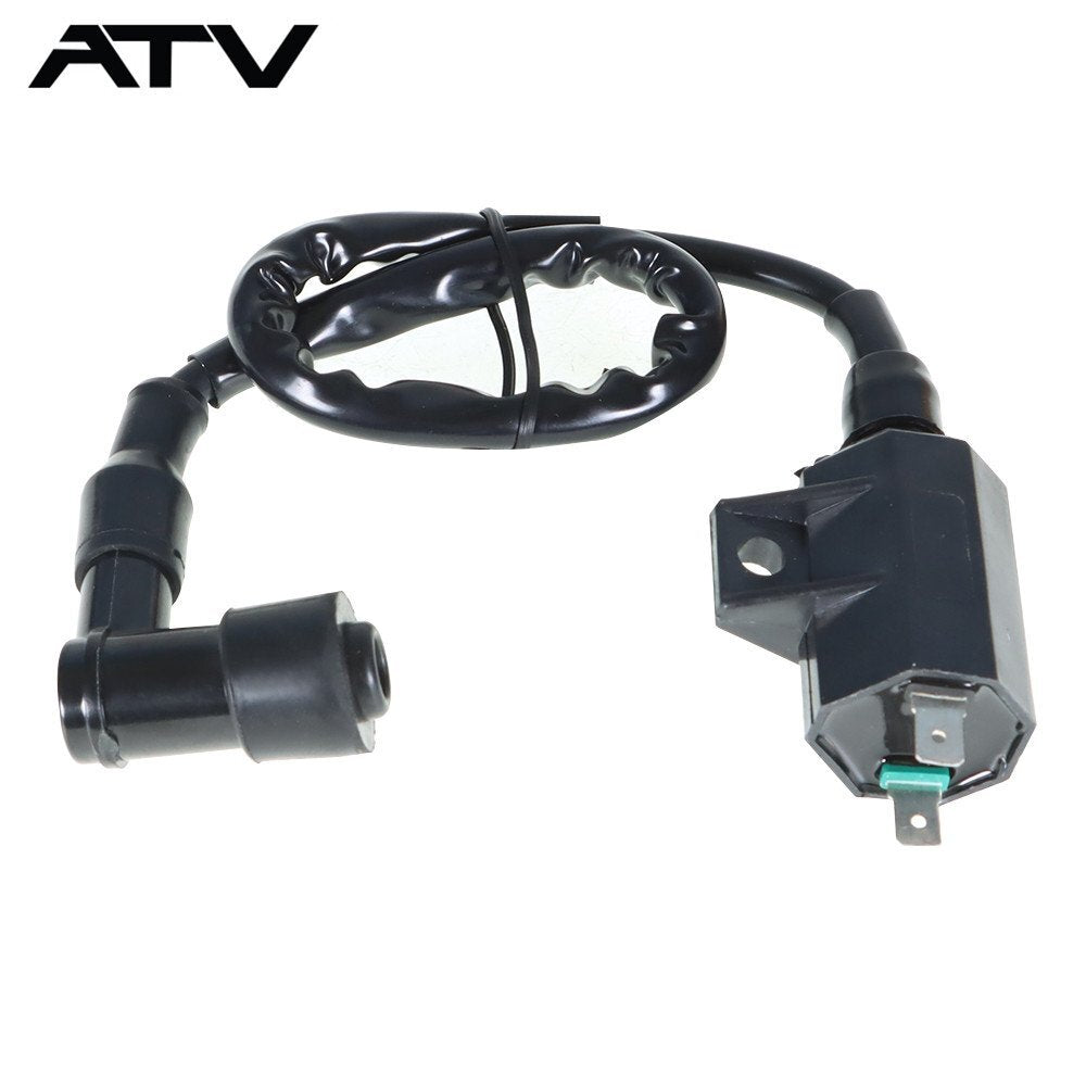 Generic Ignition Coil Spark Plug CDI For Kawasaki Bayou 220 KLF220A 250 KLF250A