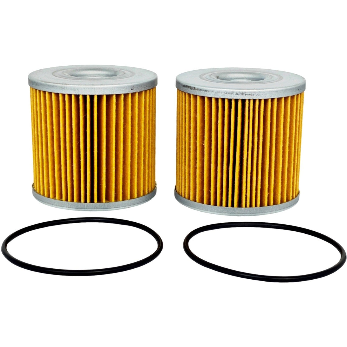 71943 Set of 2 Fit Hydro Gear Transmission Filter Kit w/ O-Ring 5101987X2 16018
