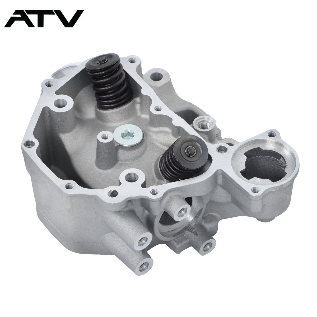 For Honda TRX420 Rebuild Kit Cylinder Head Crankshaft 12200-HP7-A01 2009-2024