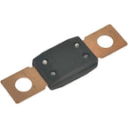 2X 100A Fuse for Bobcat S250 S300 S330 S450 S510 S530 S550 S570 S590 6675155