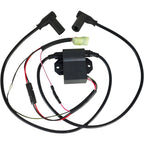 CDI BOX Igniter fit for Ski-Doo Skandic 380 500 Safari Formula SL 420965756 S2