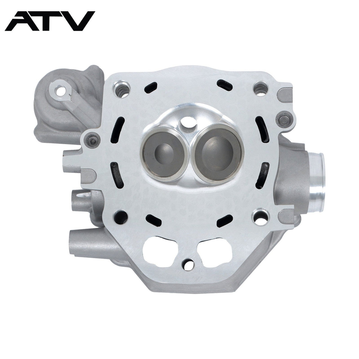 For Honda TRX420 Rebuild Kit Cylinder Head Crankshaft 12200-HP7-A01 2009-2024
