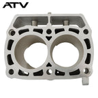 ATV For Polaris Sportsman Ranger RZR 800 Engine Cylinder 5134073 2204393 2203911