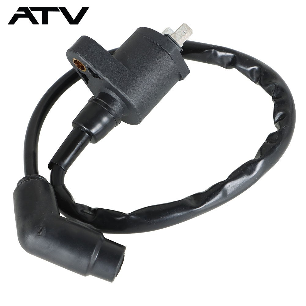 Ignition Coil CDI Spark Plug For Honda Sportrax 250 TRX250EX 2x4 2001-2008