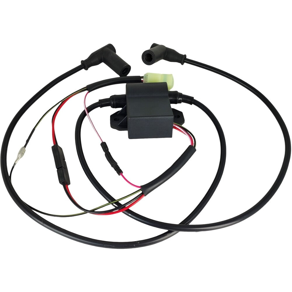 CDI Ignition Module Fit for Skidoo 420965756 420965757 420965591 Snowmobile