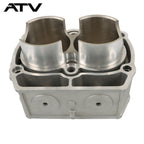 ATV For Polaris Sportsman Ranger RZR 800 Engine Cylinder 5134073 2204393 2203911