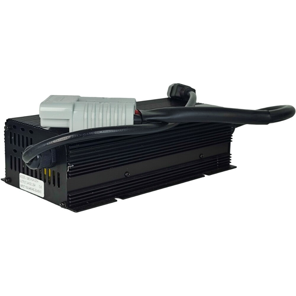 25A 110V 1120-560000-00-01 Battery Charger for Big Joe CB22