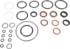 434519 Trim & Tilt O-Ring & Seal Rebuild For Johnson Evinrude OMC 0434519 FSM011