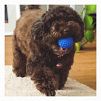 Squeaky Dog Toys for Aggressive Chewers, Indestructible Balls Blue