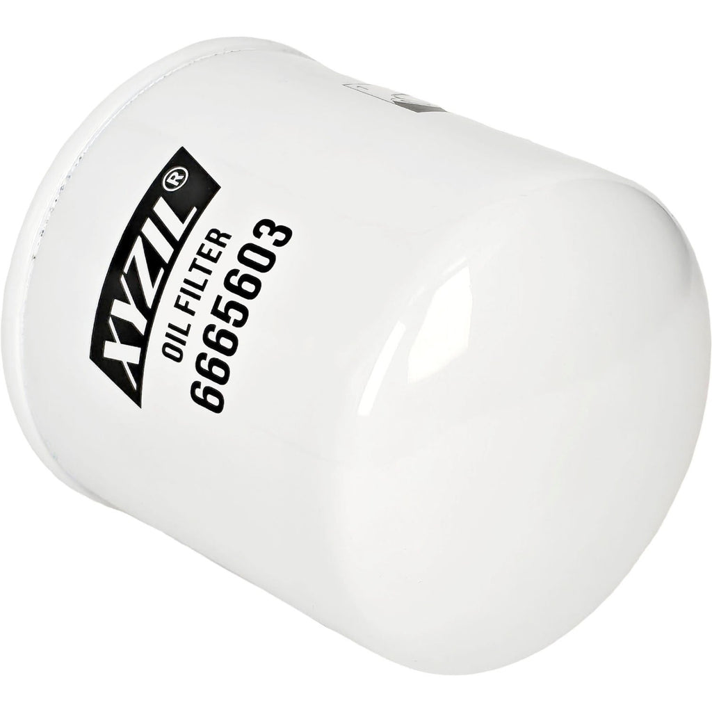 Oil Filter 6665603 Fit for Massey Ferguson 1E35 1E40 1M35 1M40 2850E 2850M 2860E