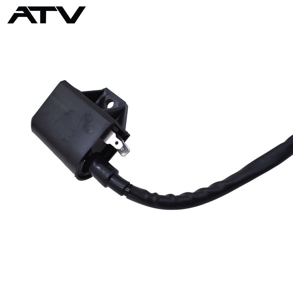 Generic For Polaris Sportsman Ranger 400 450 500 2004-2014 Ignition Coil 3089239