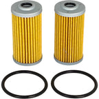 2X Fuel Filter for Massey Ferguson GC1705 1735E 1739E 1739E 1740E 1825E 1E25