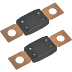 2X 100A Fuse for Bobcat Work Machine 5600 5610 TL38.70HF TL43.80HF TL470 6675155