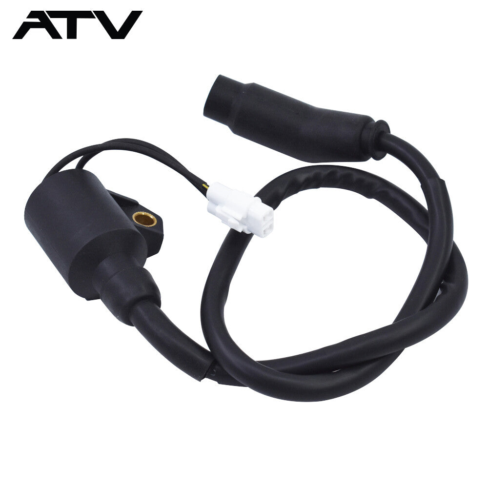 3089910 3089860 Ignition Coil For Polaris Sportsman 300 2008 2009 2010