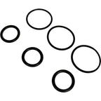 AR 2189 for Annovi Reverberi Replacemnt Seal Kit RSV Series Pump AR2189 70-0458