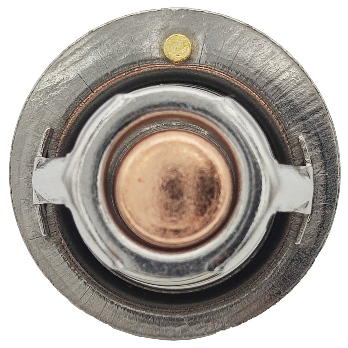 71℃ 160℉ Thermostat 13-0954 Fit for Thermo King TS 500 300 200 Spectrum RD II SR