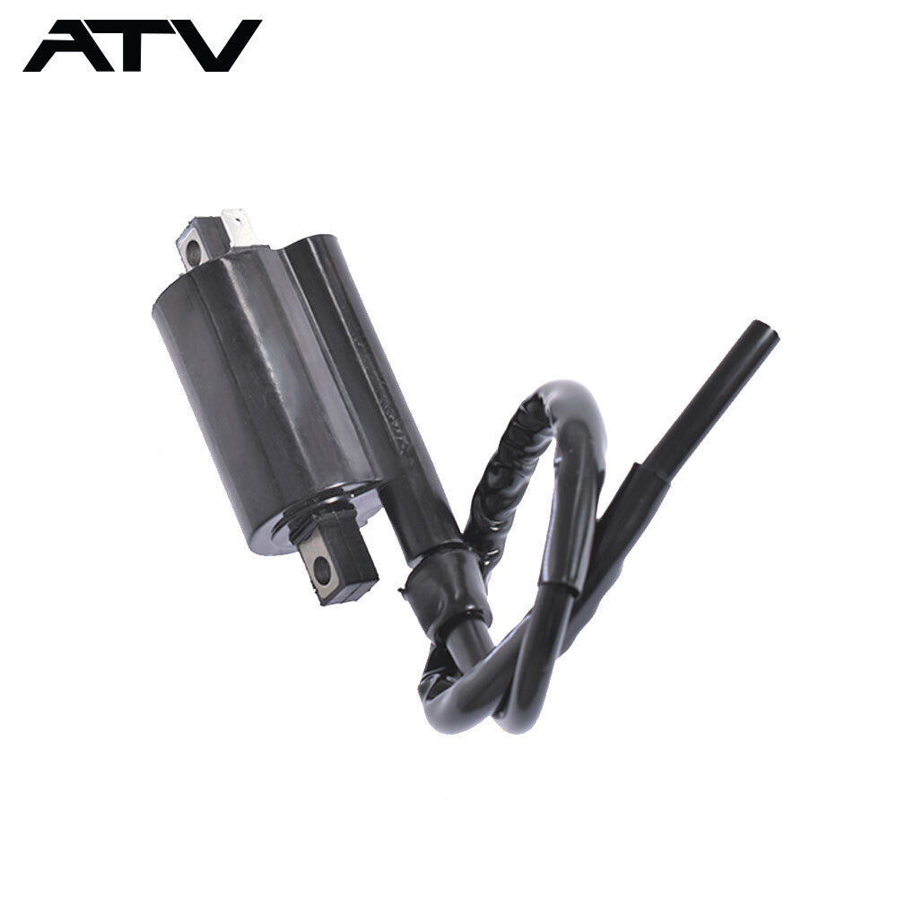 Generic 2×Ignition Coil for Kawasaki Mule 4010 KAF620 2009-2020 Except Diesel