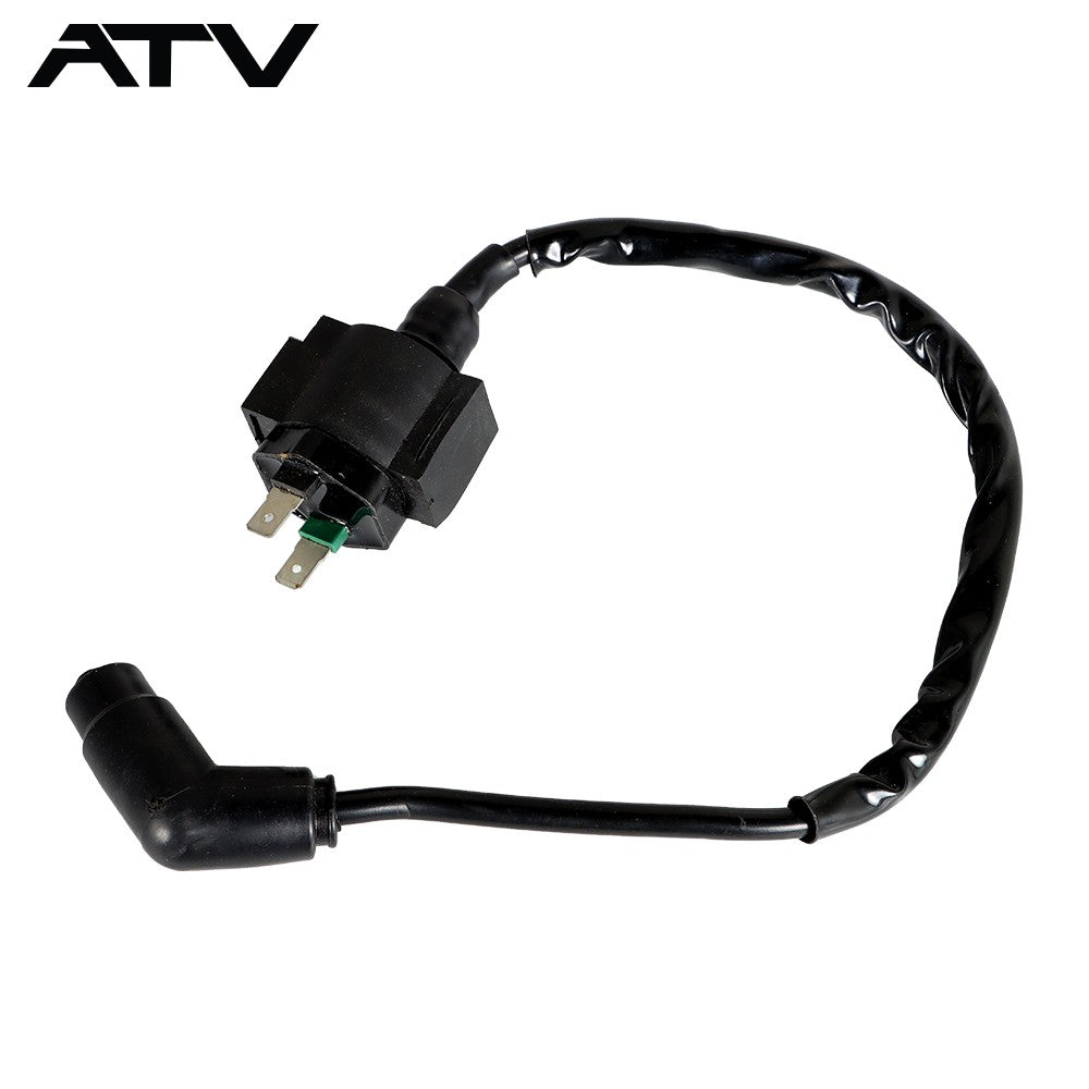 For Honda Rancher TRX350FM/FE/TE/TM 2000 2001-2005 Ignition Coil Spark Plug CDI
