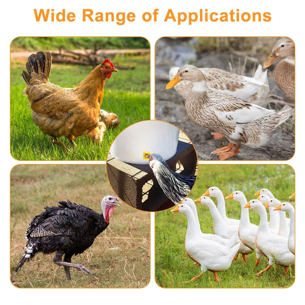 15Pcs Automatic Chicken Water Nipples Easy to Install Horizontal Poultry Waterer