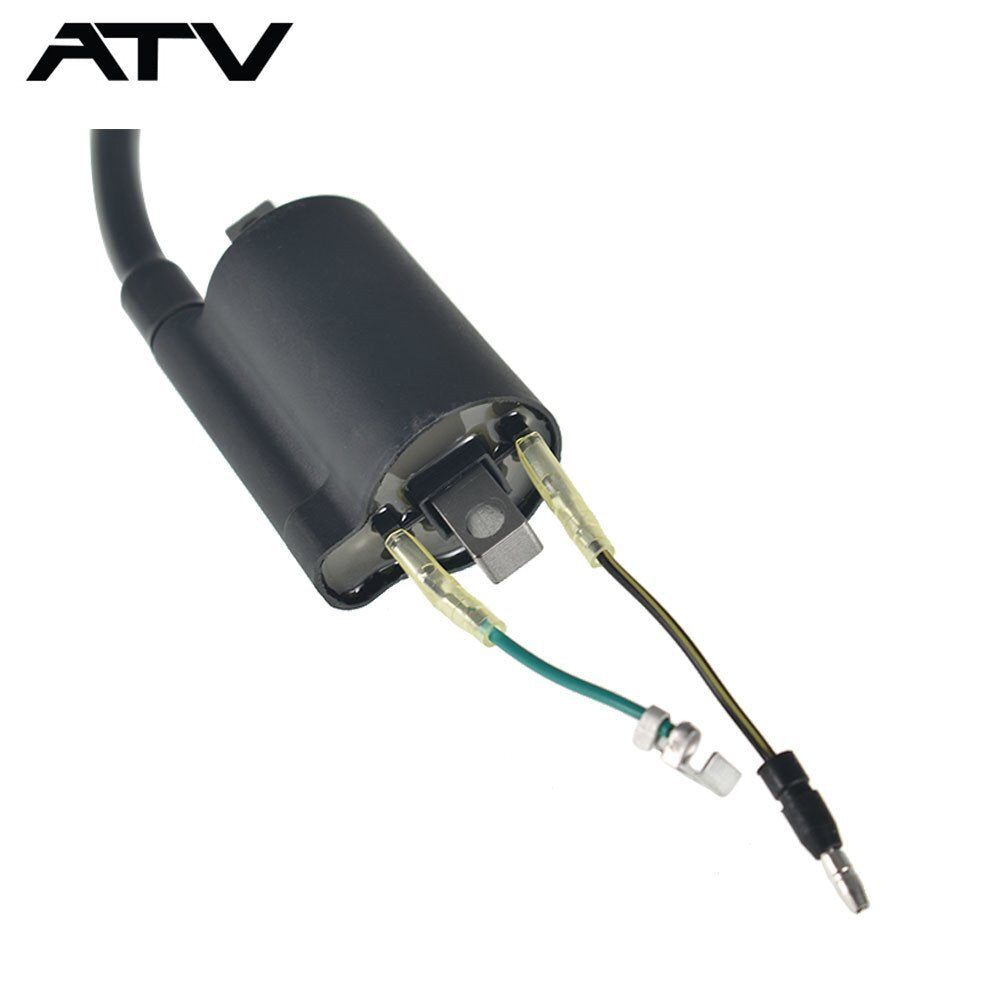 Generic Ignition Coil & Spark Plug For Honda Sportrax 400 TRX400EX XR400R