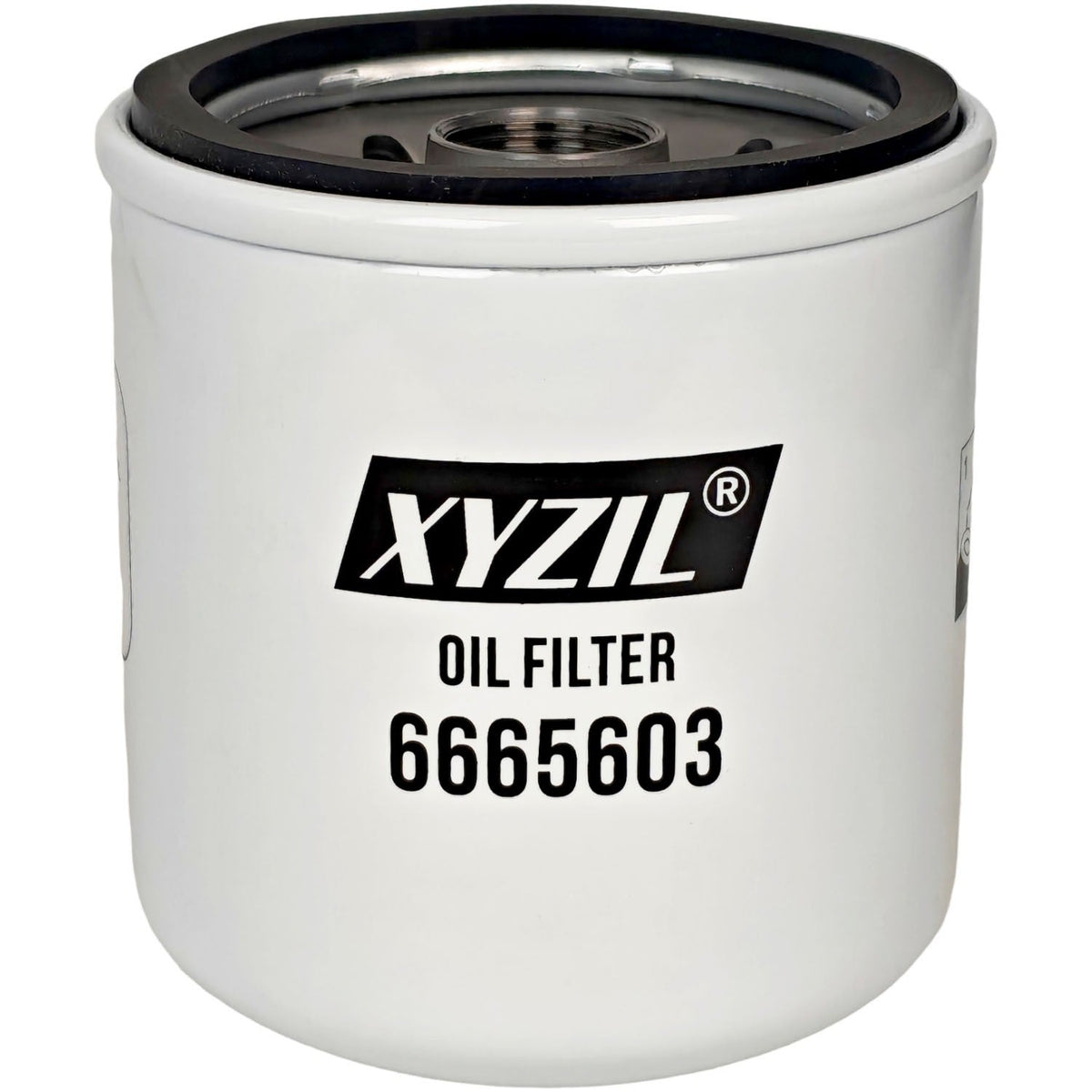 Oil Filter 6665603 Fit for Massey Ferguson 1E35 1E40 1M35 1M40 2850E 2850M 2860E