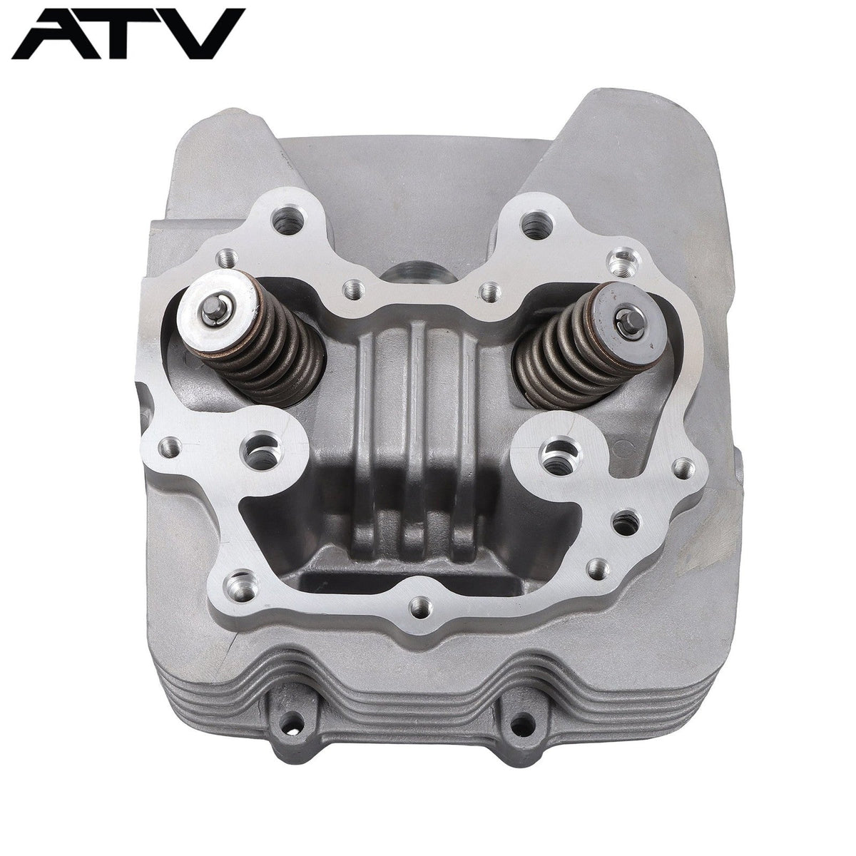 Engine Cylinder Head Cover For HONDA TRX250 2X4 2002-2023 SporTrax 250 TRX250EX