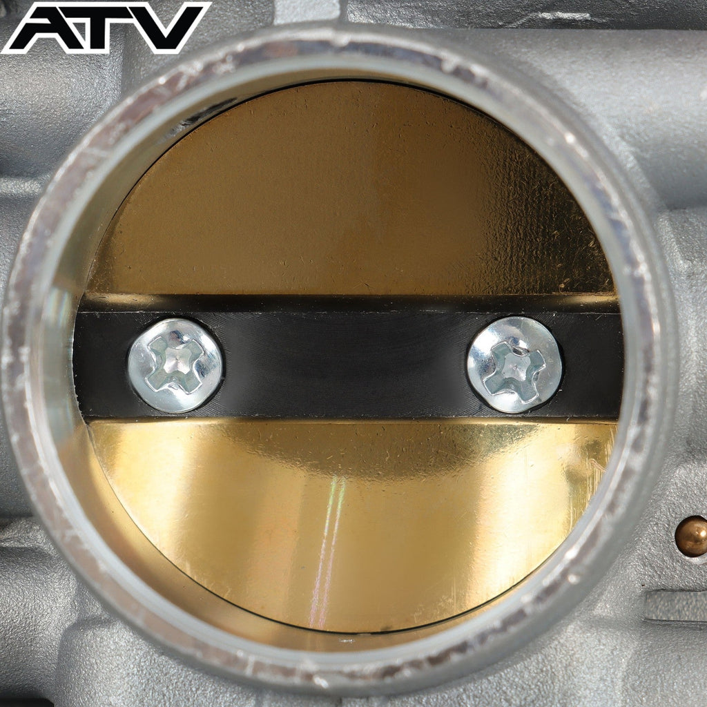 Carburetor Kit For YAMAHA Big Bear Wolverine Kodiak Grizzly 250 350 400 US