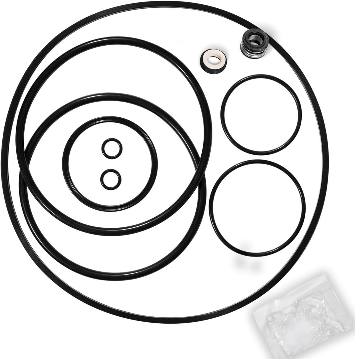 Complete Pump O-Ring Rebuild Repair Kit for Pentair Challenger Pool Pump Models