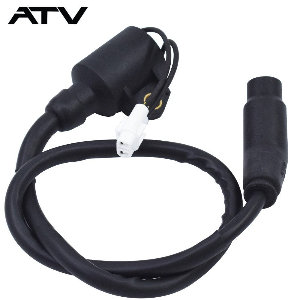 Ignition Coil Fit for Polaris Hawkeye 300 2x4 4x4 Sportsman 300 3089860 3089910