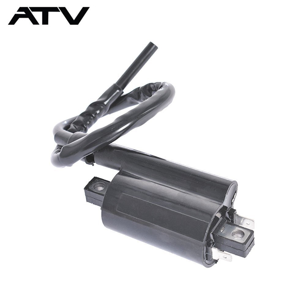 Generic 2×Ignition Coil for Kawasaki Mule 4010 KAF620 2009-2020 Except Diesel