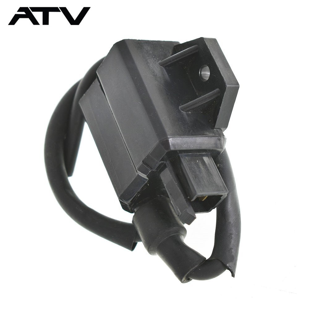 Generic For SUZUKI LT80 LT 80 QUADSPORT  1987-2001 CDI UNIT Ignitione Coil