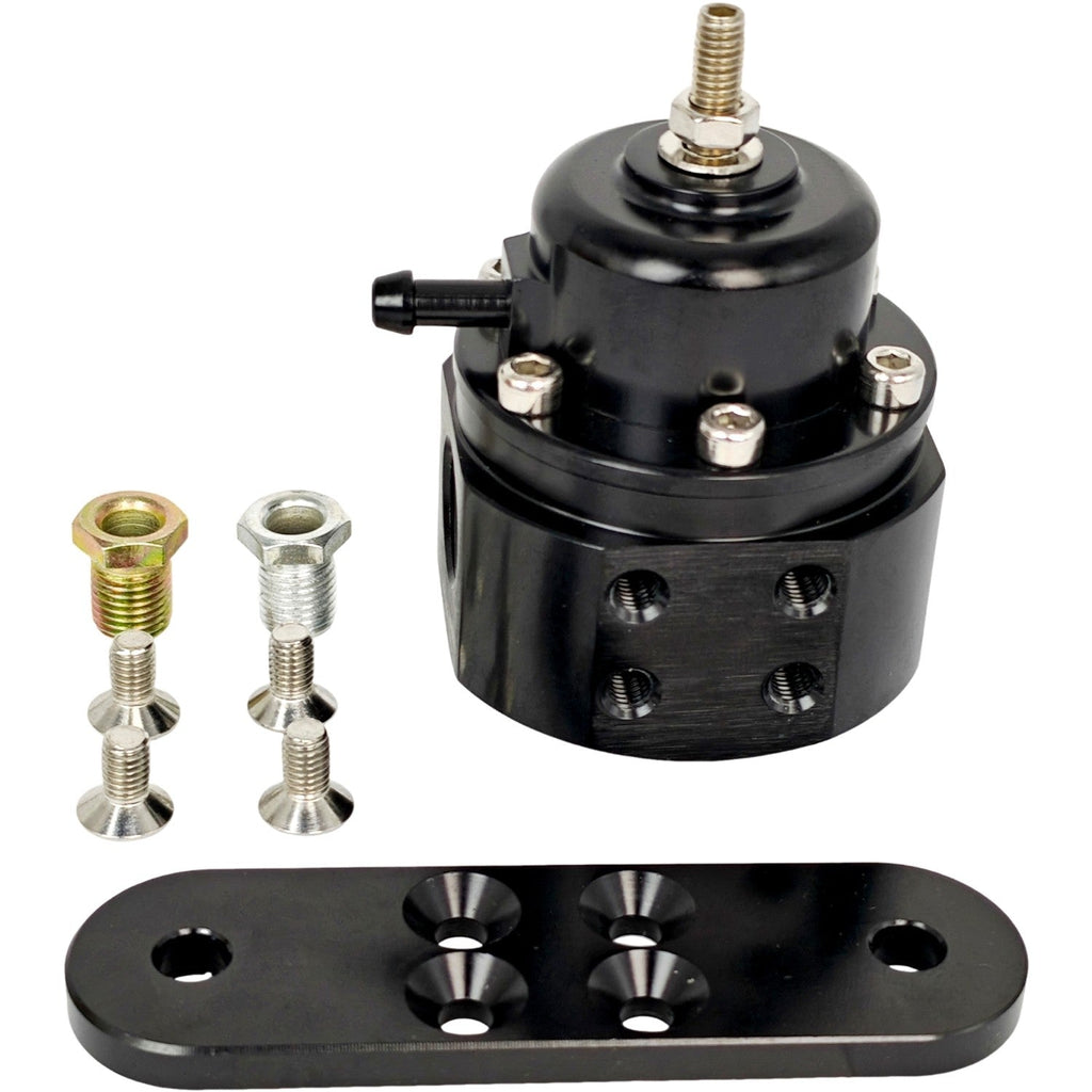 25-302BK High Volume Adjustable Fuel Pressure Regulator Kit for Holley Model
